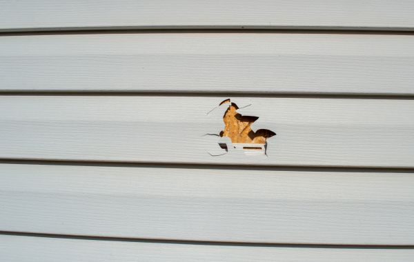 Siding Hole Patching in Pocatello